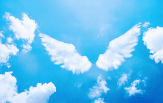 Meu anjo chamado&nbsp;Gabriel